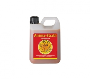 Anima Strath Elixir 1 L